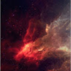 Meet your Posher, Gareth